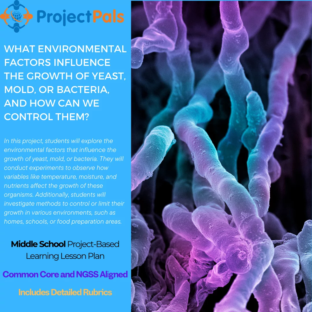 Environmental factors that influence the growth of yeast