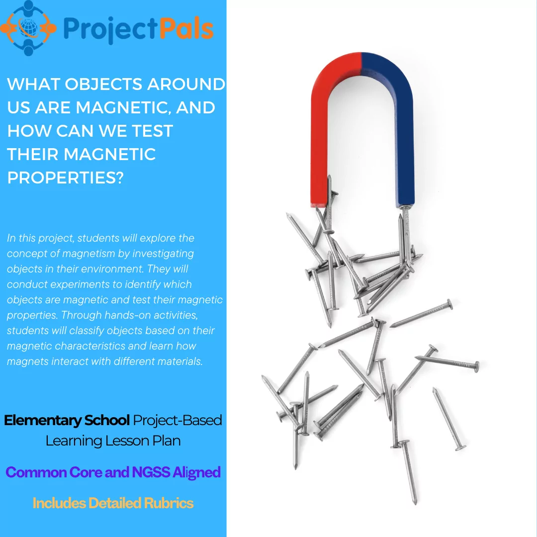 What objects around us are magnetic